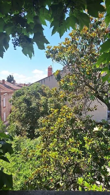 Vila Belle Maison Avec Piscine Albi